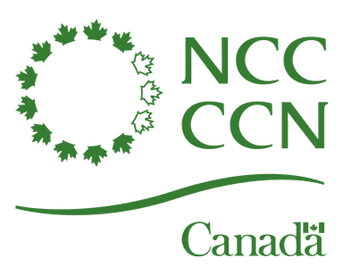 National Capital Commission